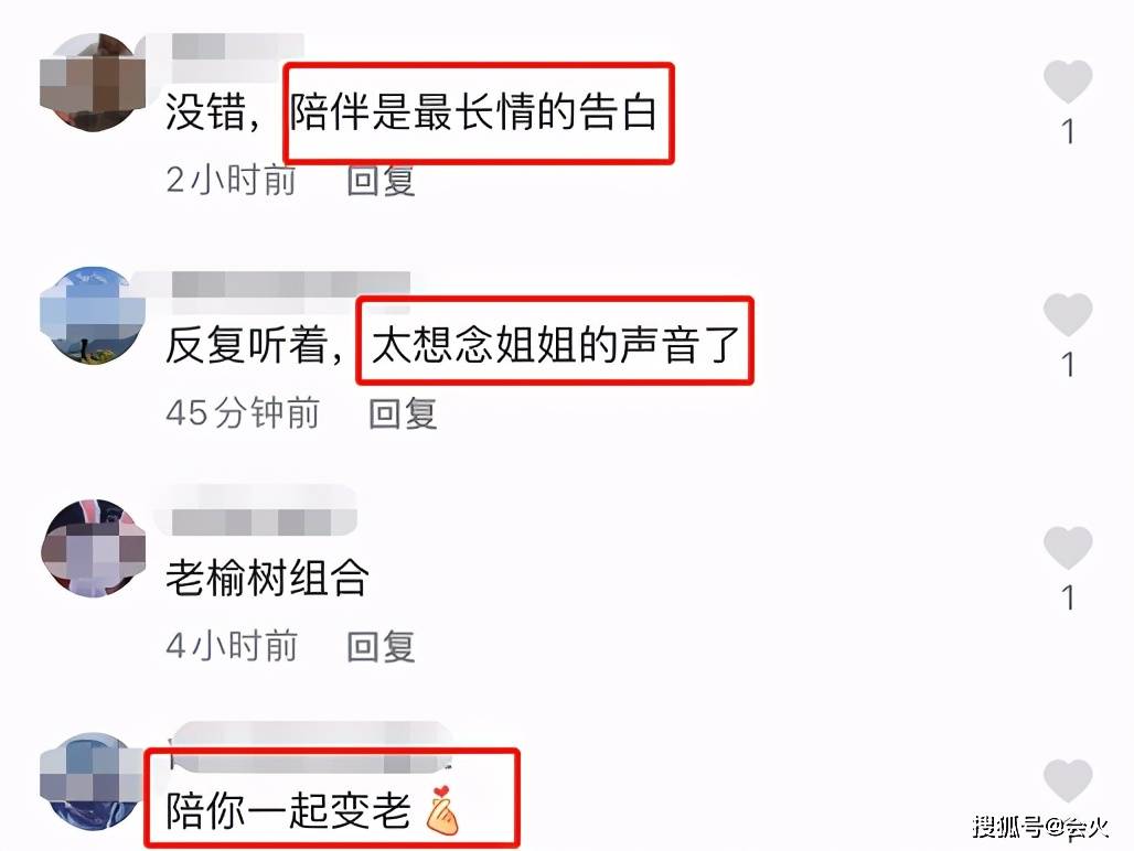 宁静|宁静托人养一棵树20年！树上挂大金坠子太豪气，高2米叶子干枯