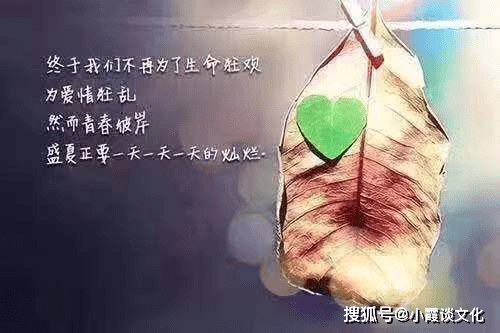 什么时候甘于平凡 29bdd98378cc442c89ac4572cf3bb09a.png