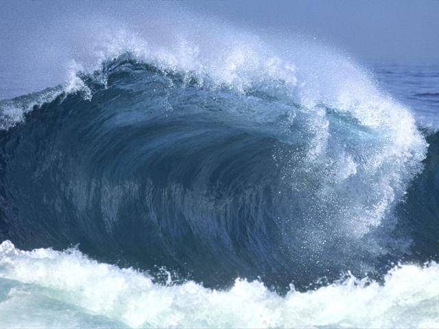 如果50米高的海啸来袭,是跑向内陆好,还是迎面扎进水里好?