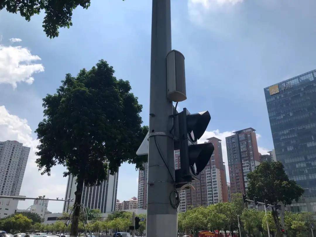 会说话的红绿灯在广东汕头启用温馨提醒低头族过马路注意安全