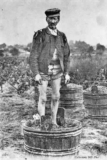 基努里维斯|你知道吗?酒其实是酿酒师用脚踩出来的…