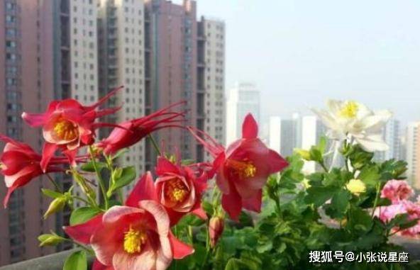 9天后 纠缠不断 相思未改 不再闪躲 儿女情长 终将旧情复燃 爱情