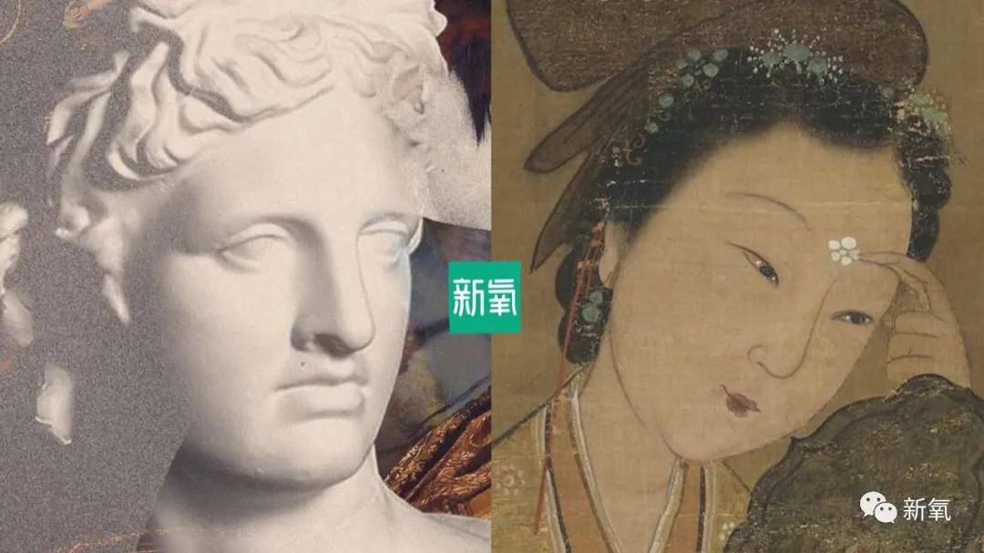 轮廓|杨紫的混血鼻子，直接给我美哭了...