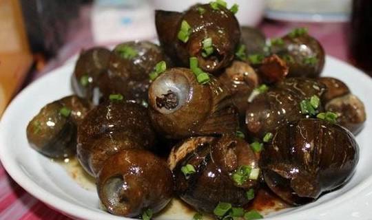 笋是寒性的吗 f451d7778b084e5bb5655223d25eccf3.jpeg