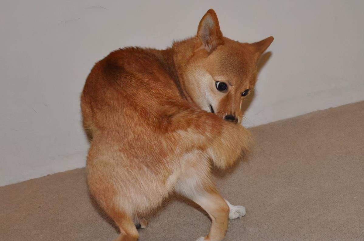 7095fff64c6f431aae5ff19c2c6b3ef7.jpeg