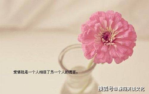 不再去打扰你了各自安好 8396ddc93bd3499b9c4bfab4c57994c2.jpeg