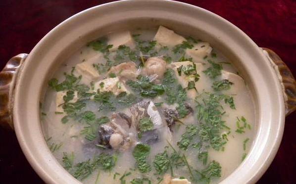 炖豆腐能放香菜吗 cb5286ebbd2a43d0a70e17ce8e331d8f.jpeg