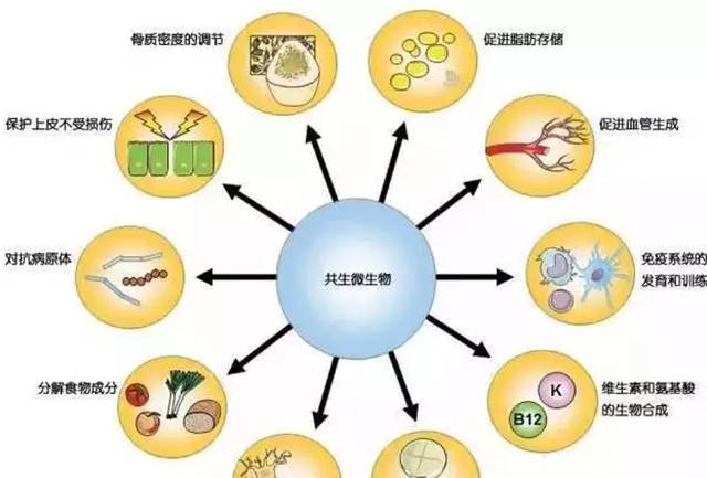 强求"正氮平衡"恐南辕北辙近代临床营养支持最早用于胃肠道不能利用的