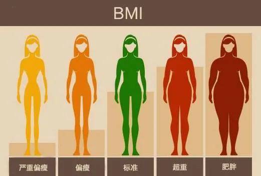 cf4198c4b6cb409bb70ad673efdcd5a9.jpeg