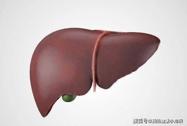 药品|肝不好的人，早上起床可能有6种表现，建议及时做个肝功