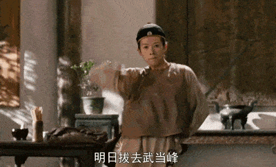 因为|李安邀请舒淇出演电影《卧虎藏龙》,但舒淇拒绝了,为什么?