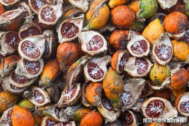 海南 湖南 年销百亿的槟榔 是国际公认的 软性毒品 6000万国人却戒不掉