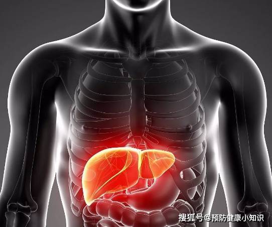 药品|肝不好的人，早上起床可能有6种表现，建议及时做个肝功