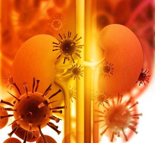 治疗|得了肾病的人,若没有重视起来,可能会引发这5大并发症,需重视