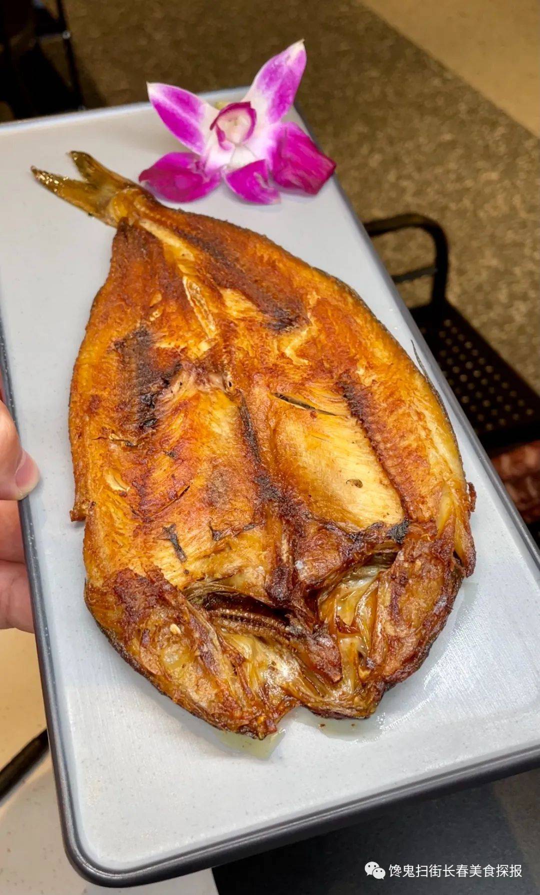 肉这一块,我从来就没糊弄过!