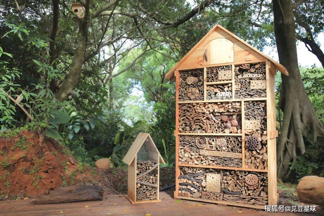 "昆虫旅馆"开业喽,我们为过冬的昆虫做个家