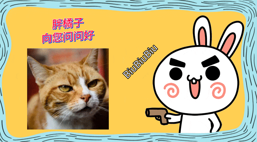 猫咪|加菲猫流落街头，曾遭熊孩子捉弄，又被流浪狗咬伤，可怜的毛孩子