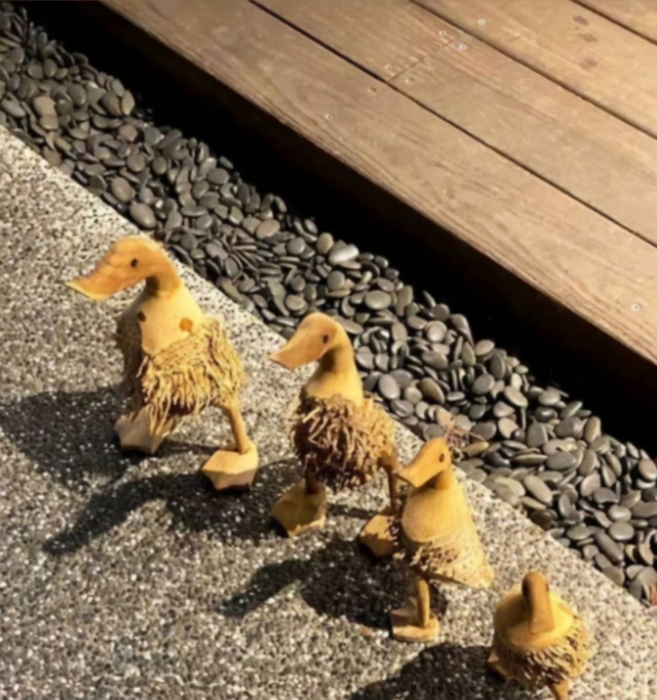 理由|周渝民不要二胎态度坚决，说出理由后，却让人感觉到很暖心