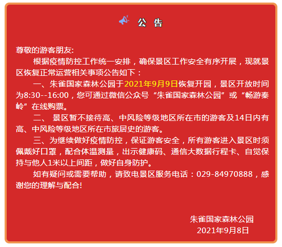 松林|盼望着，盼望着，朱雀国家森林公园终于开园了，快来秦岭赏云海吧