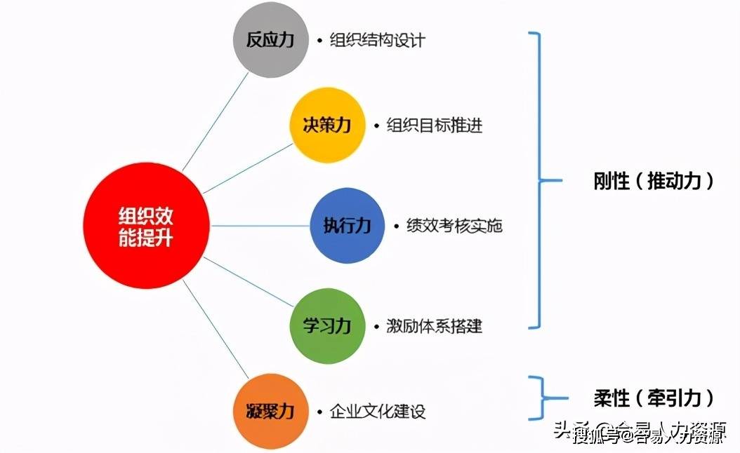 如何提升组织效能进而促进公司业务增长