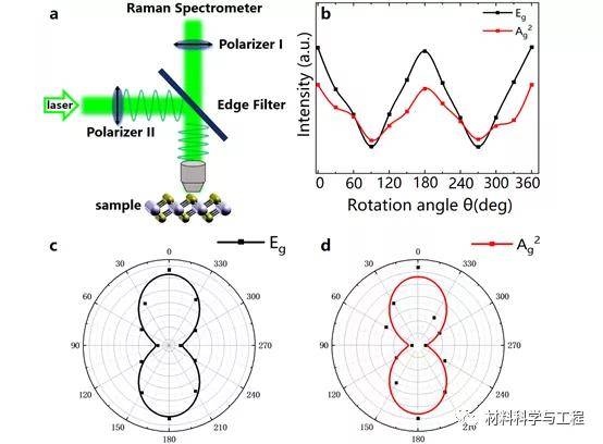 云大&昆工《ACS AMI》：厘米级！少层PdS2的制备与物理特性_材料