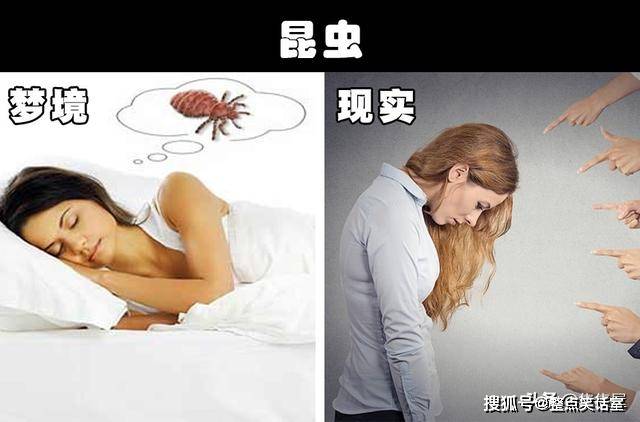 梦魇之境，解读梦中蛆虫缠身的深层含义