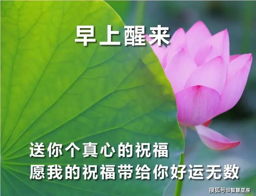 9月10日超好看的早上好温馨祝福语录图片 生活