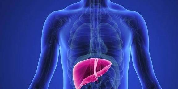 肝脏|假如你有乙肝，可能会问：肝硬化能“逆转”吗？听听医生怎么说！