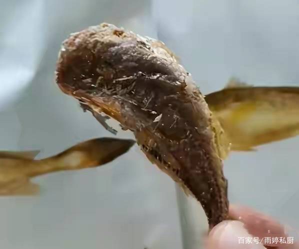 连戚薇|5款被颜值“拖后腿”的宝藏零食,看着平淡无奇,却便宜又好吃