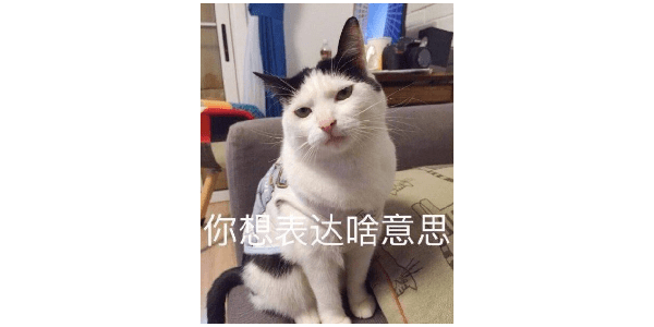 f0e3adf98b6245c2972c9afe94da7bd4.png