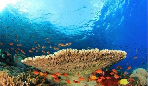 疗法|海绵微针是什么？海绵微针真的有效果吗