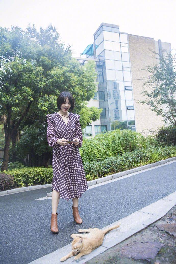 么本日|承认吧！39岁高圆圆不仅长得美，衣品更是一流，蓝配白堪称经典