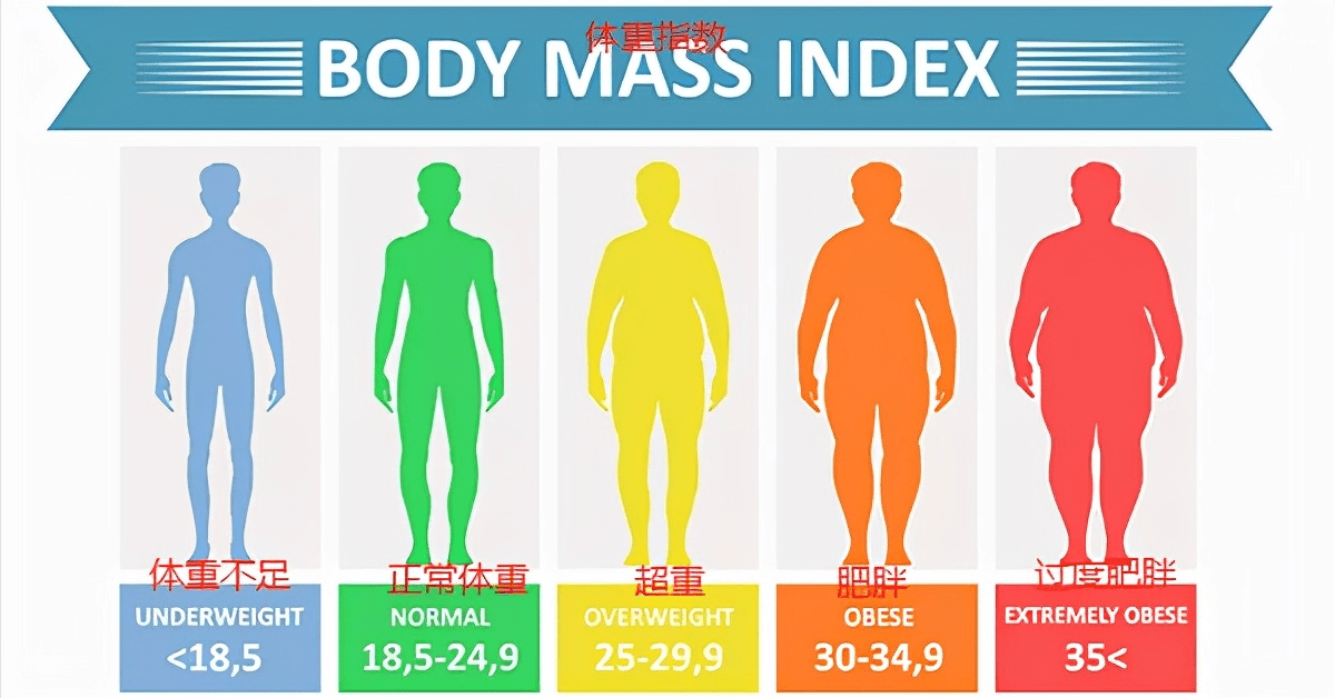 胖子怎么减肚子最有效 295938697ea240fca8e81907bd9be8b6.png