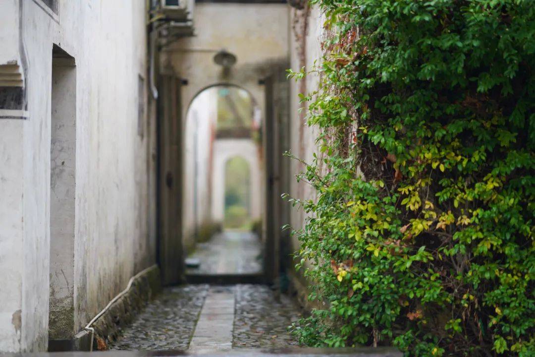 烟雨任|一座搬来的古村，20余栋几近坍塌的徽派民居，拼成了黟县画里乡村