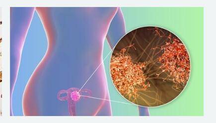 皮肤保护剂的功效 65a4be4fd0044e59acbeae8a85b67815.jpeg