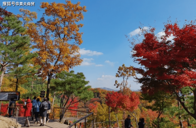 京畿道光州市的枫叶庆典即将开启