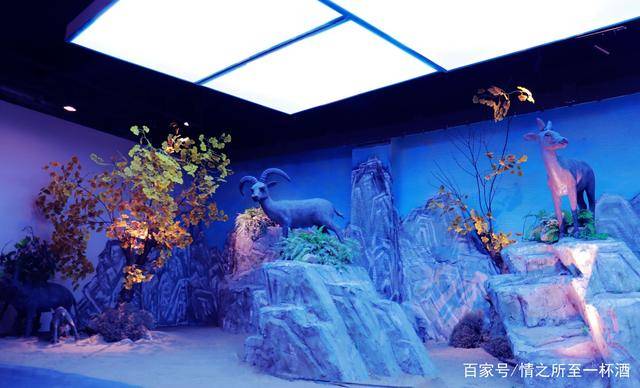 生活|家在宁夏,我骄傲!