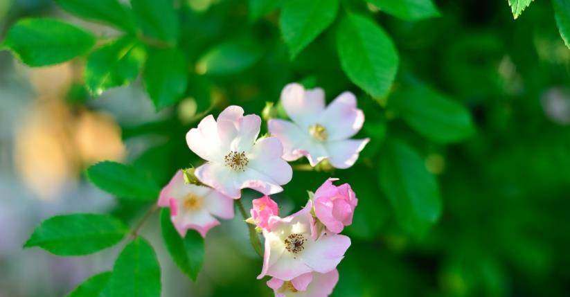 睡觉时间|精致生活的11个好习惯，请逼自己养成