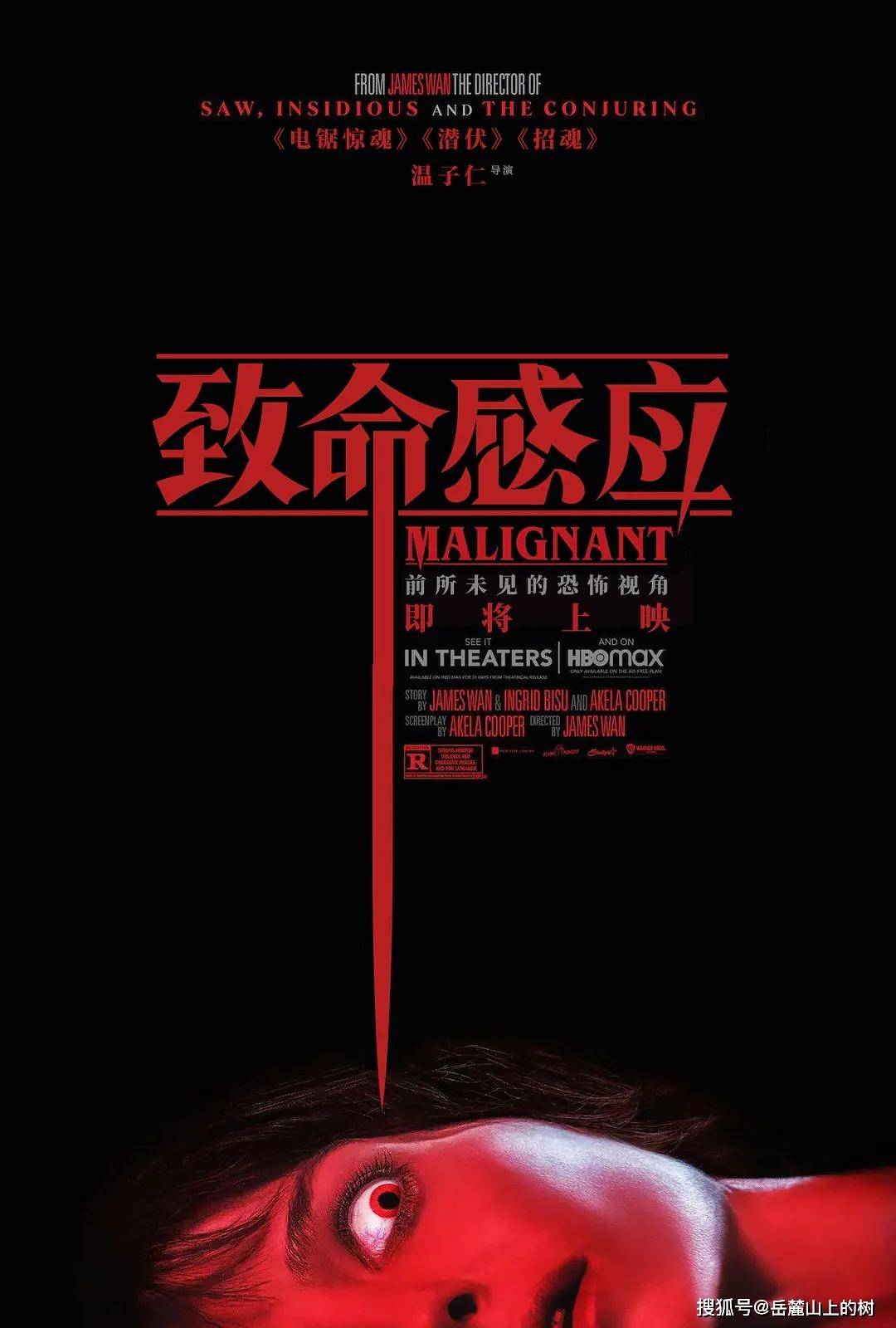 麦迪森因|《致命感应》温子仁的一次类型实验