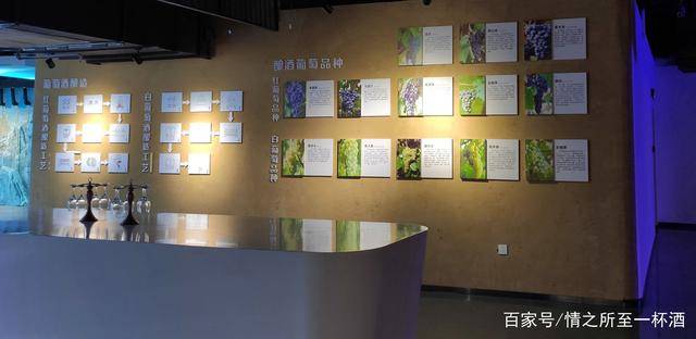 生活|家在宁夏,我骄傲!