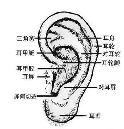 头像|干货教程 | 速写五官很难画？给你详细解析！