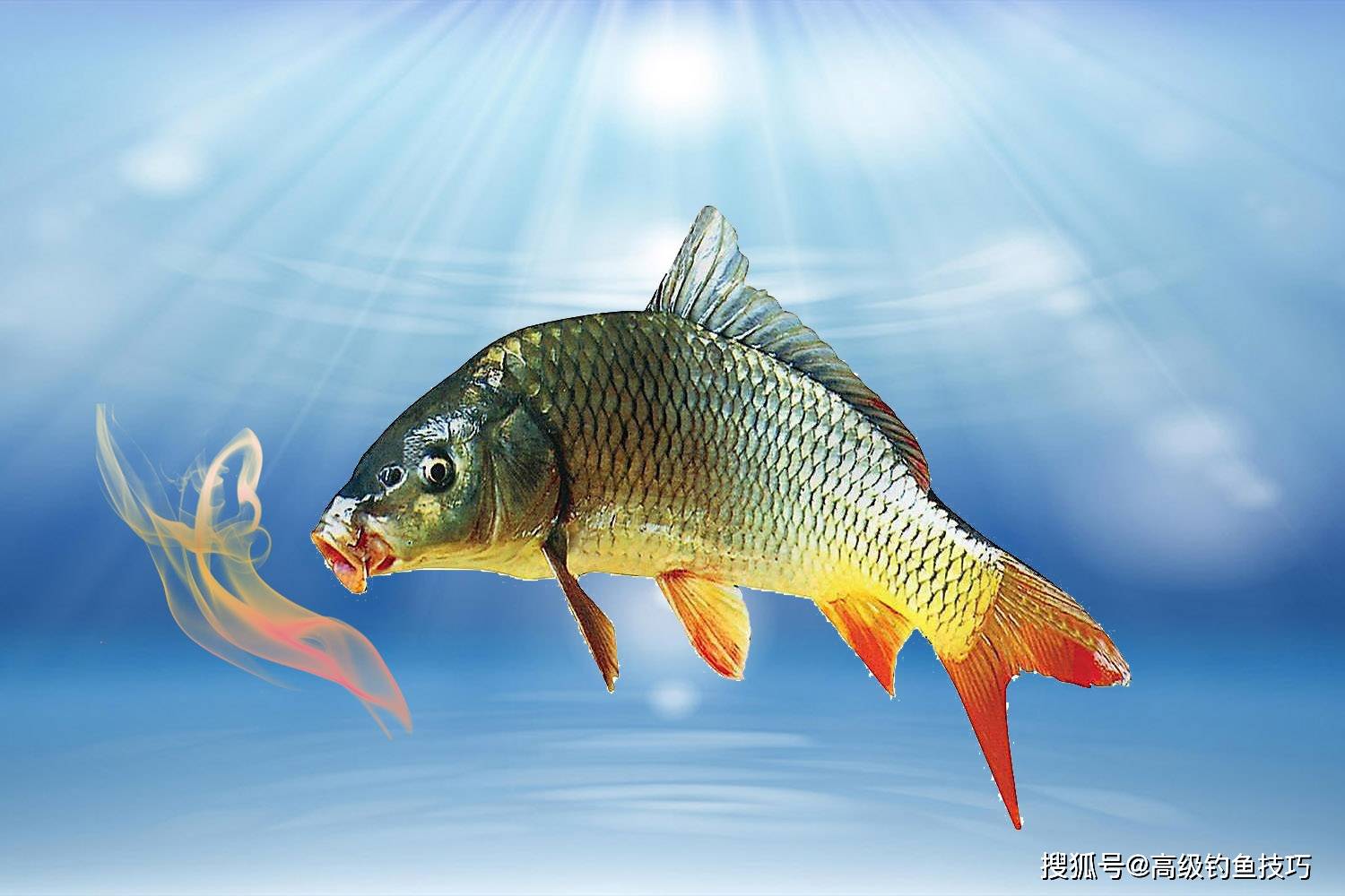 3d843eb19d5141399fd95be323247c58.jpeg