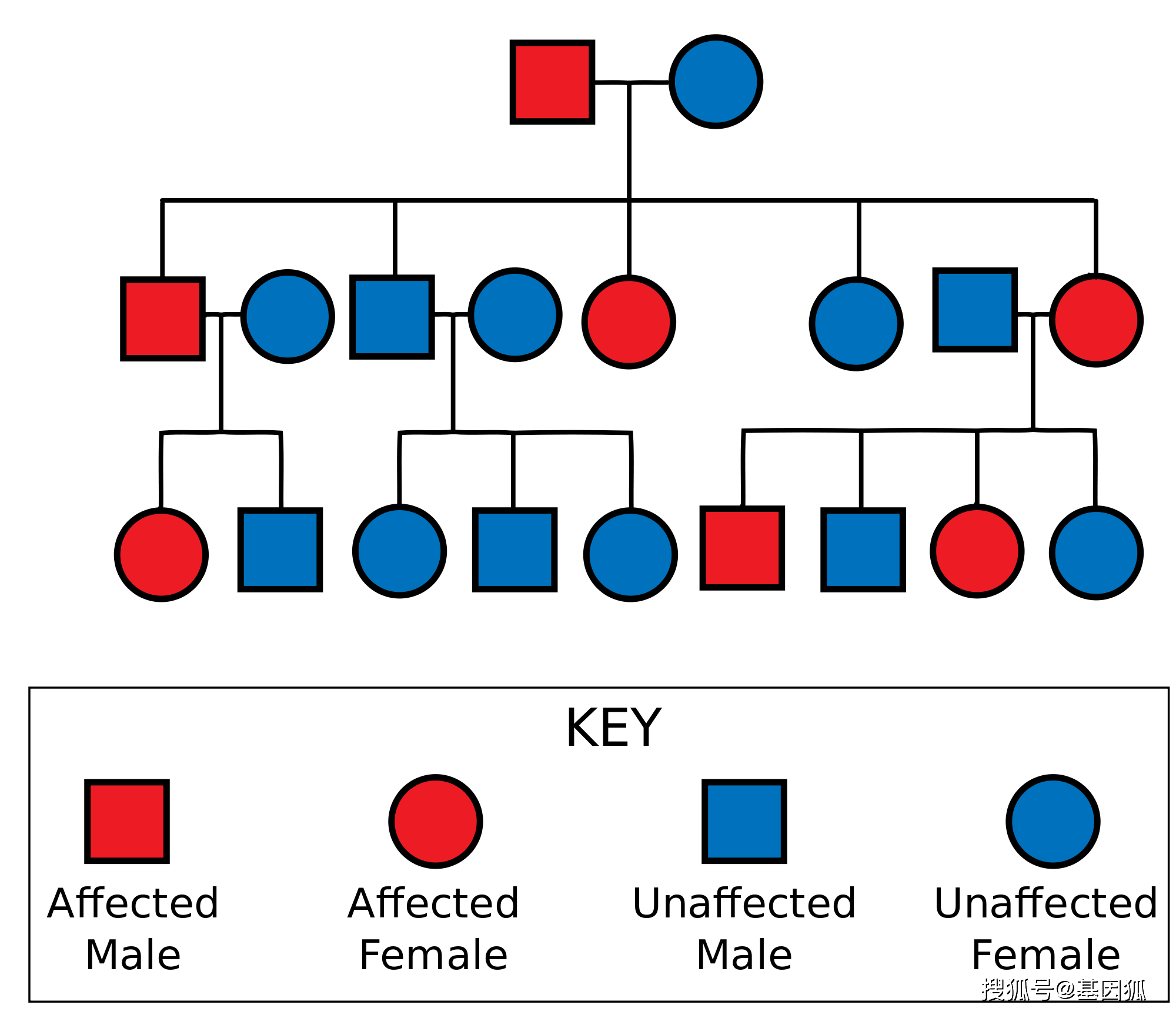 治疗|健康科普：如何判断自己是不是糖尿病高危人群