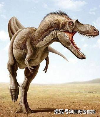 霸王龙的祖先,竟然是这么呆萌的"狗子"?_暴龙