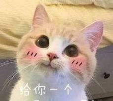 2341f1b9040247d4afa420fae800be7d.jpeg