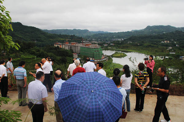 中国老教授(专家)乡村振兴康养文旅示范基地纳溪故里情源揭牌