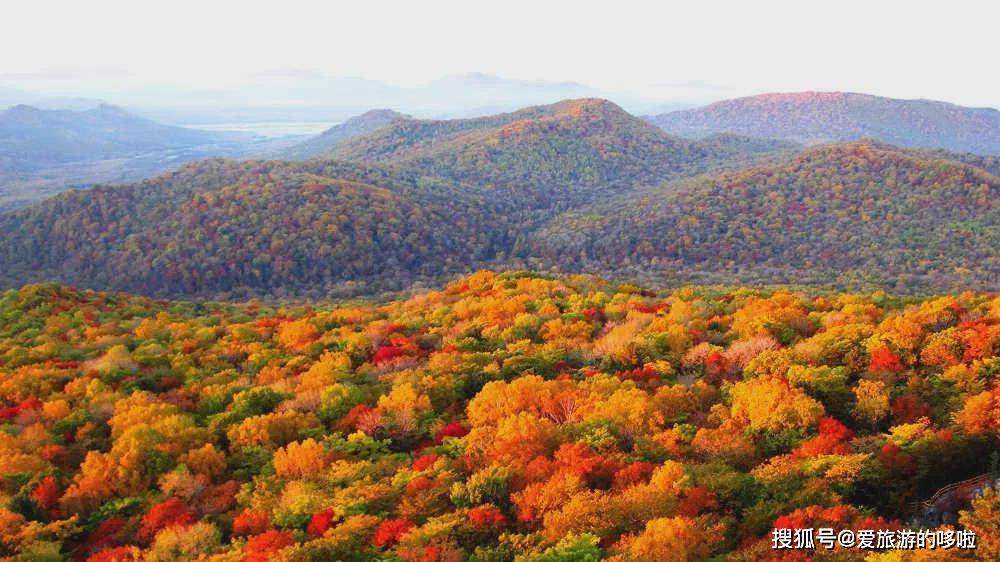 中国最早最美的秋天在这里 美的无可救药