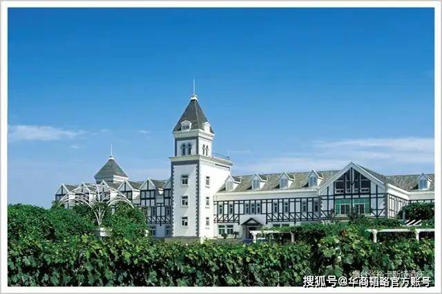 青啤|茅台、青啤之后,张裕王者归来?
