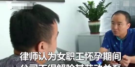 厕所|女子怀二胎公司让她看厕所，怒找媒体曝光，老总：仲裁法院随便你