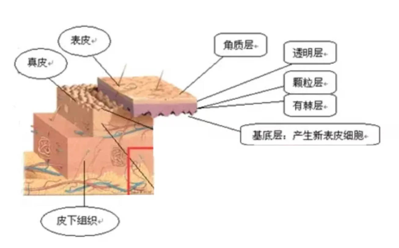 方法|怎么淡斑祛斑？祛斑霜的正确使用方法，看完这篇淡斑快1倍！